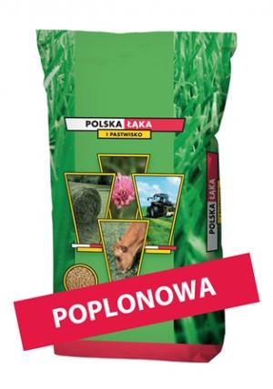 POPLONOWA - Mieszanka jednoroczna do produkcji sianokiszonki i na zielony nawóz